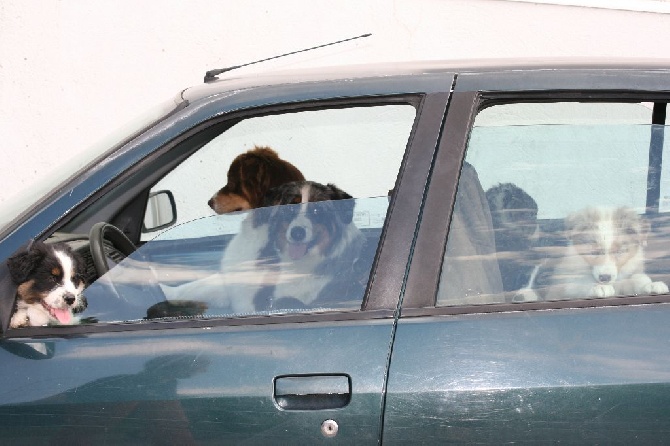 De La Vallée Champsaurine - Sortie en voiture