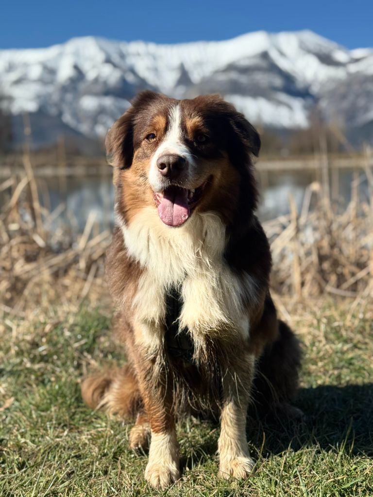 T'wouaka du Sarmizegetusa Regia